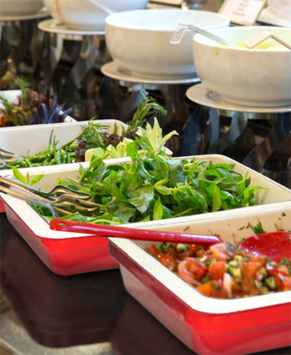 Lava Gastronomi Küvetler