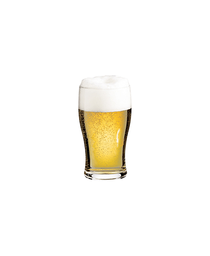 42737 Tulipe Bira Bardağı